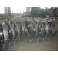 DN800 butterfly body