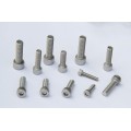 inner hexagon screw